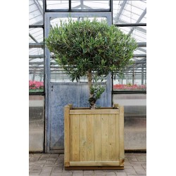 Jardinière en bois carrée Vendôme 60 x 60 x 65 cm