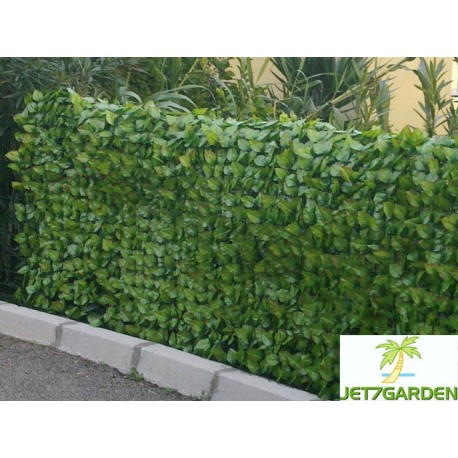 Haie artificielle de jardin en PVC rosier 300 x 100 cm