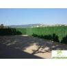 Haie artificielle de jardin en PVC 110 brins 300 x 150 cm