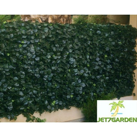 Haie artificielle de jardin en PVC Lierre Duo 300 x 150 cm