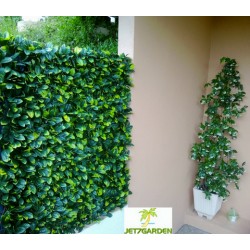 Haie artificielle de jardin en PVC feuilles de Troène 200 x 100 cm