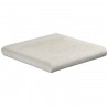 Margelle en pierre naturelle bord demi rond angle sortant 25 x 25 x 3 cm