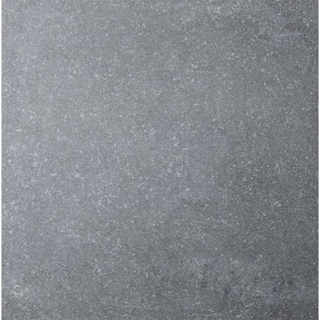 Carrelage extérieur grès cérame Bluestone Grigio 60 x 60 x 2 cm