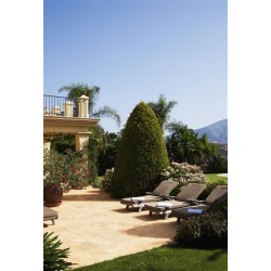 Carrelage extérieur grès cérame Travertino 60 x 60 x 2 cm
