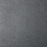 Carrelage extérieur grès cérame Basaltino 60 x 60 x 2 cm