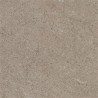 Carrelage extérieur grès cérame Cappuccino beige 60 x 60 x 2 cm