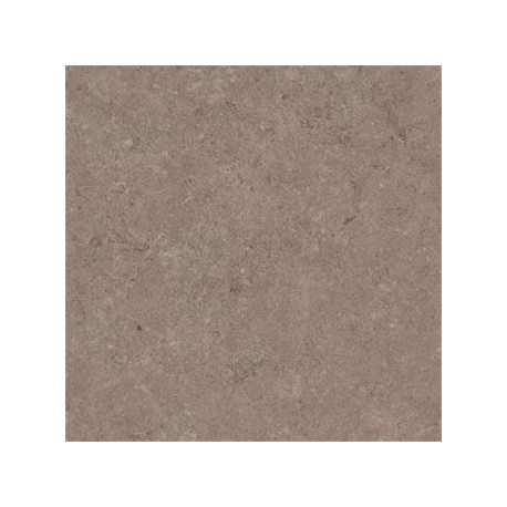 Carrelage extérieur grès cérame Biscuit beige 60 x 60 x 2 cm Carrelage extérieur grès cérame Biscuit beige 60 x 60 x 2 cm