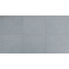 Carrelage extérieur grès cérame Bluestone Light Grey 60 x 60 x 2 cm