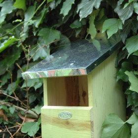Nichoir pour rouge-gorge en bois dans un arbre