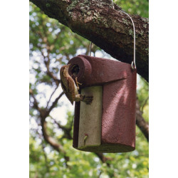 Nichoir de jardin pour petits oiseaux SCHEWGLER marron