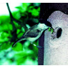 Nichoir de jardin pour Mésanges et Troglodyte mignon SCHWEGLER marron