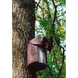 Nichoir de jardin pour Étourneaux SCHWEGLER marron