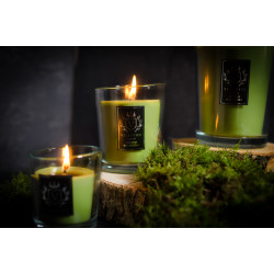 Bougie parfumée Ancient Oakwoods 225 g - Senteurs épicées et boisées