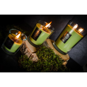 Bougie parfumée Ancient Oakwoods 90 g - Senteurs épicées et boisées