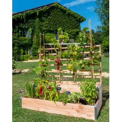 Carré potager à 2 étages avec treillis en bois Douglas non traité – 125 x 60 x 100 cm