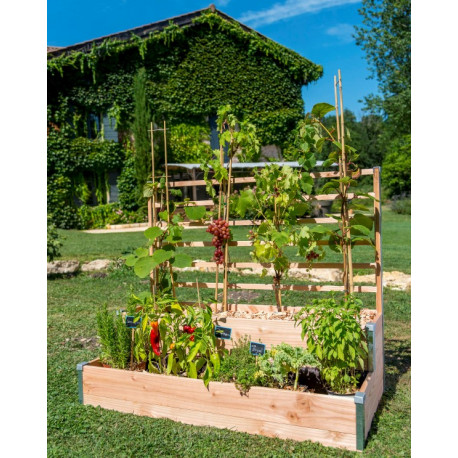 Carré potager à 2 étages avec treillis en bois Douglas non traité – 125 x 60 x 100 cm