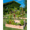 Carré potager à 2 étages avec treillis en bois Douglas non traité – 125 x 60 x 100 cm