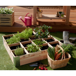 Carré potager avec séparateurs en bois Douglas non traité – 100 x 100 x 20 cm