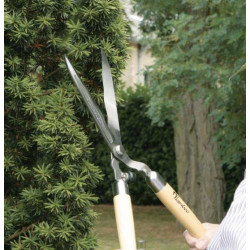 Lot d’outils de jardin spécial taille et coupe – cisaille à haie – sécateur de jardin à main – Ebrancheur - POLET