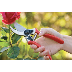 Lot d’outils de jardin spécial taille et coupe – cisaille à haie – sécateur de jardin à main – Ebrancheur - POLET