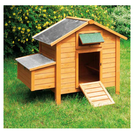 Poulailler Island Premium en bois traité – Capacité 6 à 8 poules – 130 x 80 x 115 cm