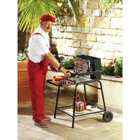 Barbecue Charbon Bois Raymond