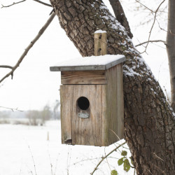 Nichoir à Étourneaux en bois de pin labellisé FSC