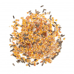 Boite de nourriture pour écureuil 4 saisons – 750 g