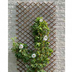Treillis de jardin extensible en osier naturel avec goupille métallique — 30 x 180 cm