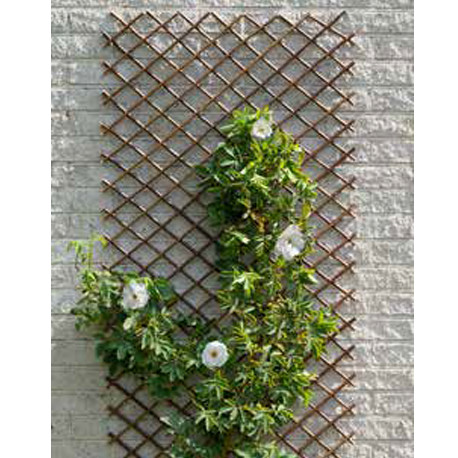 Treillis de jardin extensible en osier naturel avec goupilles métallique — 60 x 180 cm Treillis de jardin extensible en osier naturel avec goupilles métallique — 60 x 180 cm