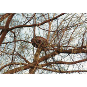 Corbeille de jardin pour cigognes en osier tressé SCHWEGLER – diamètre 110 cm