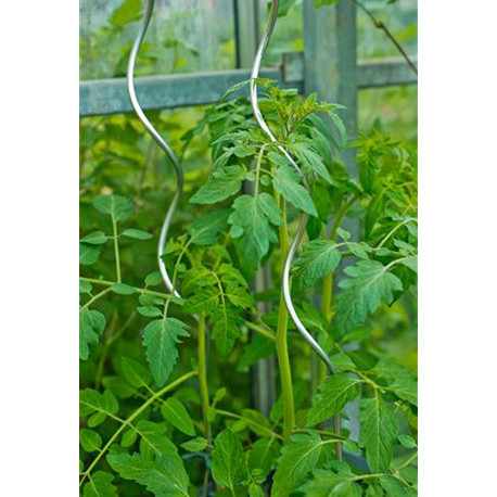 Lot de 10 tuteurs spirale à tomates en acier galvanisé Hauteur : 150 cm Ø6,8 mm