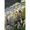 Gabion à Tiges Cage Métallique 100 x 20 x 40 cm Sans Galet