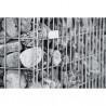 Gabion Pro Spirales Cage Métallique 100 x 50 cm Sans Galet