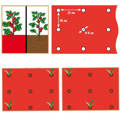 Film de paillage pour potager spécial Tomates avec trous prédécoupés 40 x Ø80 mm – 0,95 x 10 m 