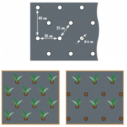 Film de paillage pour potager spécial herbes aromatiques avec trous prédécoupés 100 x Ø60 mm – 0,95 x 5 m 