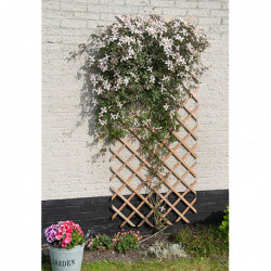 Treillis de jardin extensible en pin naturel FSC avec set de fixation — 50 x 150 cm