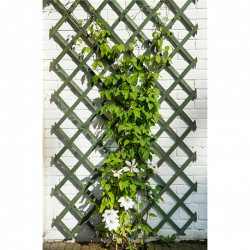 Treillis de jardin extensible en bois couleur vert avec set de fixation - 50 x 150 cm