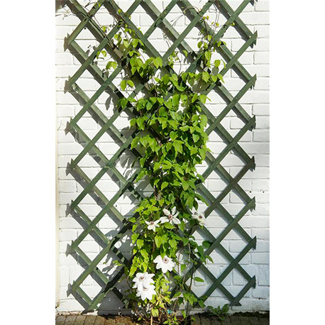 Treillis de jardin extensible en pin FSC couleur Vert avec Set de fixation - 100 x 200 cm