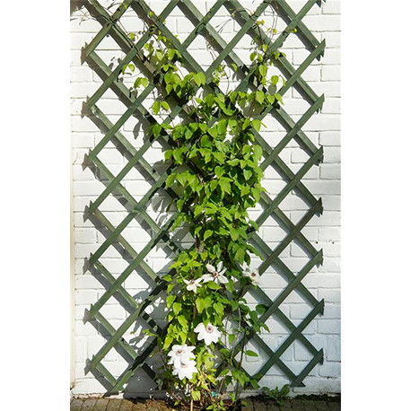 Treillis de jardin extensible en pin FSC couleur Vert avec Set de fixation - 100 x 200 cm Treillis de jardin extensible en pin FSC couleur Vert avec Set de fixation - 100 x 200 cm