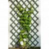 Treillis de jardin extensible en pin FSC couleur Vert avec Set de fixation - 100 x 300 cm