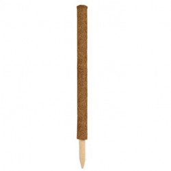 Pack de 5 tuteurs pour plantes grimpantes en fibres de coco Ø42mm - Hauteur : 120 cm
