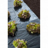 Film de paillage traditionnel pour potager toutes cultures – 1,40 x 10 m 