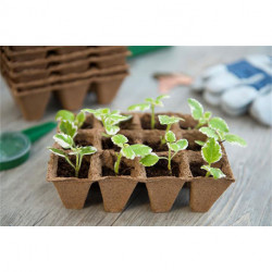 Kit Mini-serre de culture pour semis et bouturage avec étiquettes, pots, semoir – 37,5 x 24 x 18 cm 