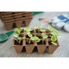 Kit Mini-serre de culture pour semis et bouturage avec étiquettes, pots, semoir – 37,5 x 24 x 18 cm 