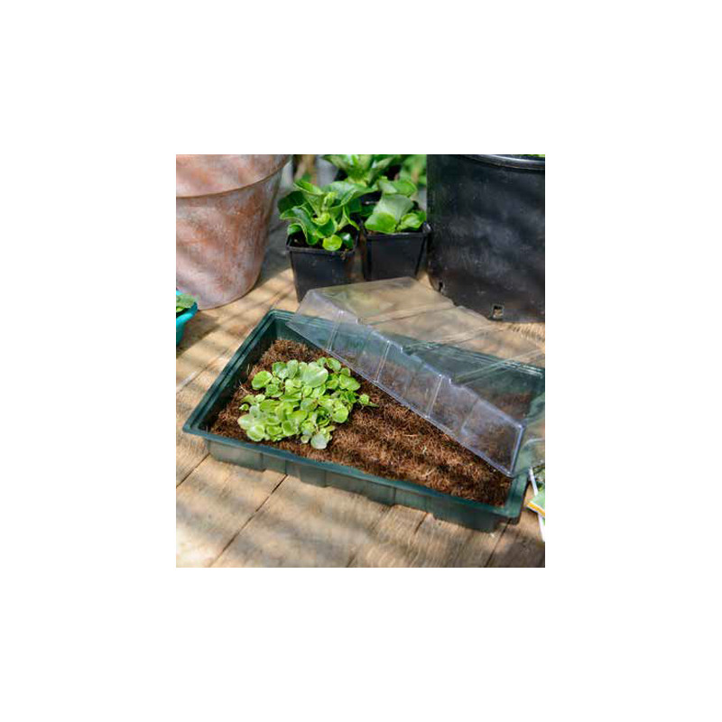 Mini-Serre Chauffante Bio Green JP Maxi - Sans Tapis - Pour Semis Et Boutures