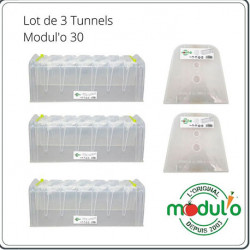 Lot de 3 mini serres tunnel de forçage Modul’o 78 x 29 x 28 cm – 1 jeu de 2 embouts - 1 Lot de 10 piquets d’ancrage