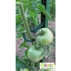 Lot de 6 tuteurs de jardin Mikado – Hauteur : 150 cm avec 24 attaches – Couleur : Vert Jardin