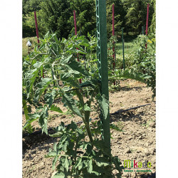 Lot de 6 tuteurs de jardin Mikado – Hauteur : 150 cm avec 24 attaches – Couleur : Vert Jardin
