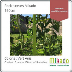 Lot de 6 tuteurs de jardin Mikado – Hauteur : 150 cm avec 24 attaches – Couleur : Vert Anis